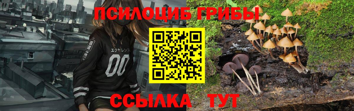 купить закладку  Галлюциногенные грибы прущие грибы  Вход с VPN  Муром 