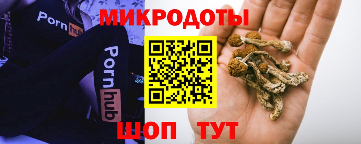 Псилоцибиновые грибы Magic Shrooms Муром